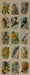 Useful Birds of America 9th Series Card Set J-9 Type 5-1  15 Cards Church & Dwight   - TvMovieCards.com