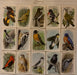 Useful Birds of America 9th Series Card Set J-9 Type 5-2AA 15 Cards Church & Dwight   - TvMovieCards.com