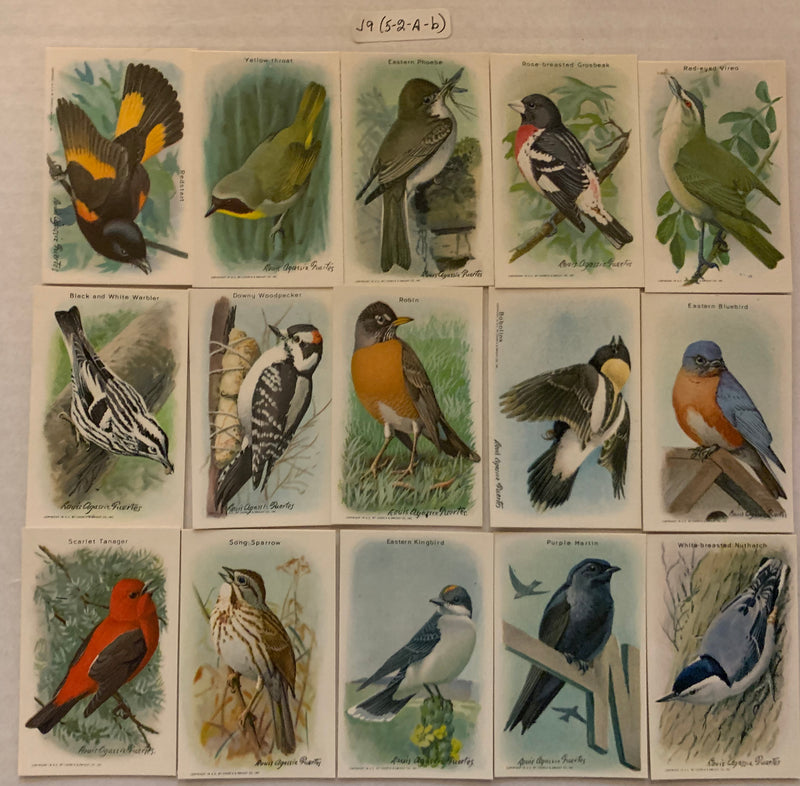 Useful Birds of America 9th Series Card Set J-9 Type 5-2AB 15 Cards Church & Dwi - TvMovieCards.com
