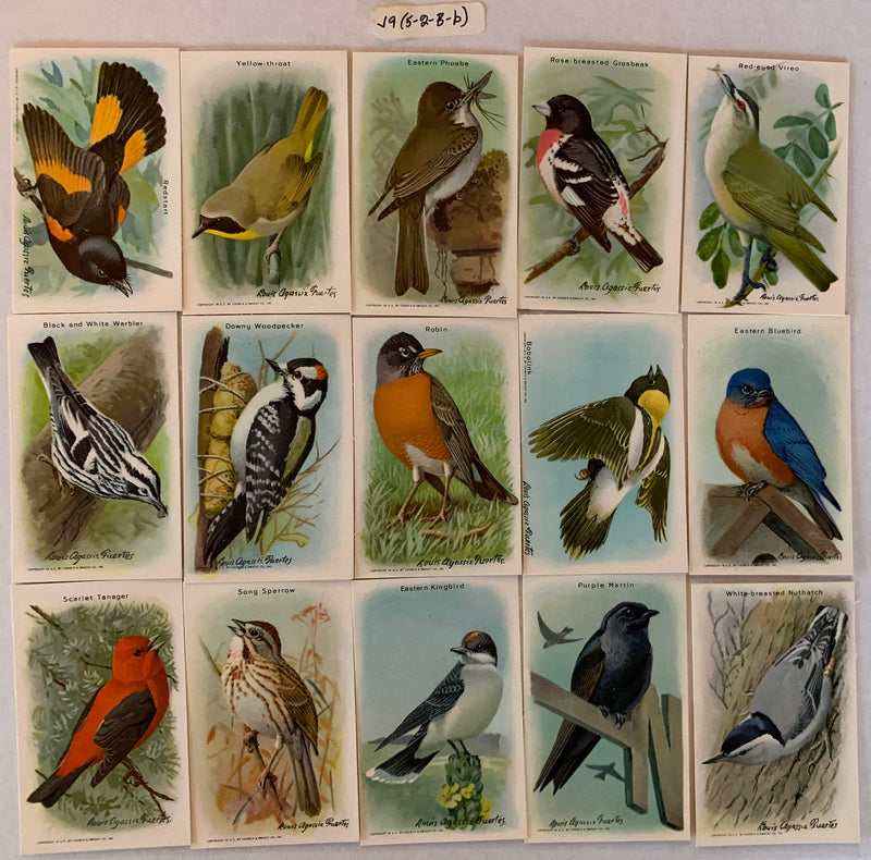 Useful Birds of America 9th Series Card Set J-9 Type 5-2BB 15 Cards Church & Dwi - TvMovieCards.com