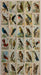 Useful birds of America Card Set 1st Series Dwights 30 Cards Arm & Hammer J-5   - TvMovieCards.com
