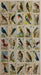 Useful birds of America Card Set 1st Series on Backs 30 Cards Arm & Hammer J-5   - TvMovieCards.com