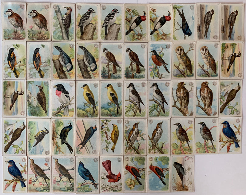 Useful birds of America 30 Card Set 1st Series +18 Variants 1908 Arm & Hammer J- - TvMovieCards.com
