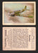 1940 Wings Cigarettes Modern Airplanes Series A B C You Pick Single Trading Cards B #36 Royal Air Force Bomber  - TvMovieCards.com