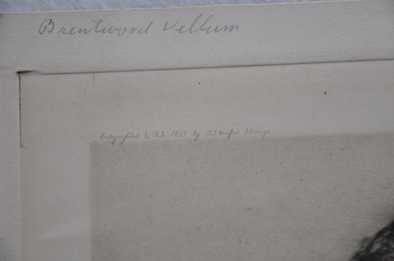 FDR Franklin D. Roosevelt Portrait with Signature Etching Print 1933 WM Stevens   - TvMovieCards.com