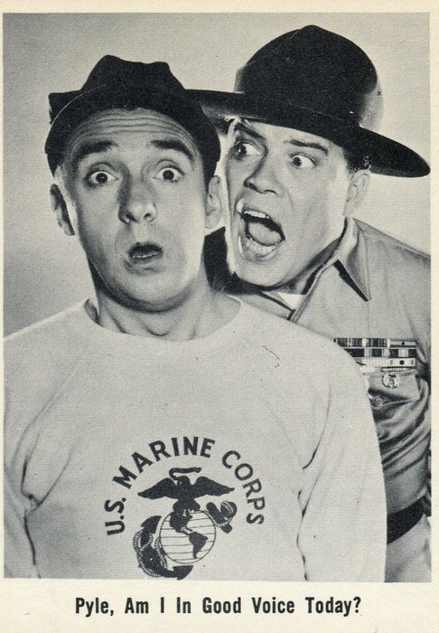 Gomer Pyle TV Show 1965 Fleer Vintage Card Set 66 Cards   - TvMovieCards.com