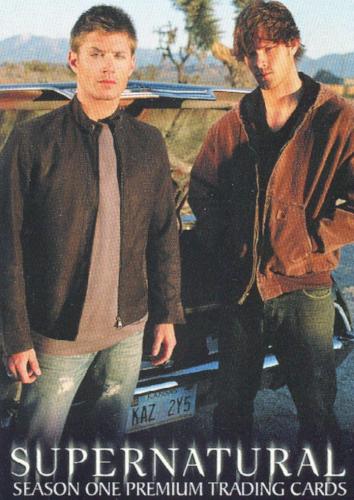 Supernatural Season 1 Promo Card SN-T   - TvMovieCards.com