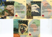 San Diego Zoo Animals of the Wild Hologram Chase Card Set H-1 thru H-3 Cardz   - TvMovieCards.com