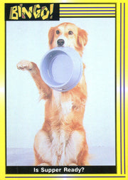 Bingo! Movie Base Card Set 110 Cards Pacific 1991 Dog   - TvMovieCards.com