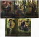 2020 Outlander Season 4 Lot of (5) Promo Trading Card P1 P3 P4 P5 P6   - TvMovieCards.com