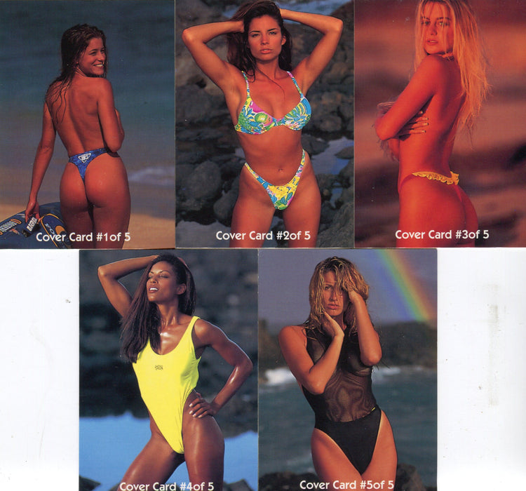 Endless Summer Cover Card Chase Card Set 5 Cards Portfolio International 1993   - TvMovieCards.com