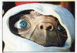 E.T. Movie Album Stickers Vintage Card Set 120 Sticker Cards   - TvMovieCards.com