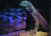 San Diego Zoo Animals of the Wild Hologram Chase Card H-1 Cardz 1993   - TvMovieCards.com