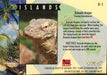 San Diego Zoo Animals of the Wild Hologram Chase Card H-1 Cardz 1993   - TvMovieCards.com