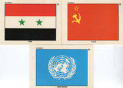 Desert Storm Series 2 Victory Series Vintage Sticker Card Set 11 Sticker Cards 1   - TvMovieCards.com
