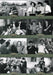 Three Stooges 2007 Update Trading Card Set 16 Cards Breygent Marketing   - TvMovieCards.com