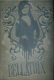 Harry Potter and the Half Blood Prince Metal Box Topper Chase Card BT3   - TvMovieCards.com