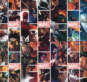 Marvel Heroes and Villains Tri-Fold Posters Chase Card Set PC1 thru PC6   - TvMovieCards.com