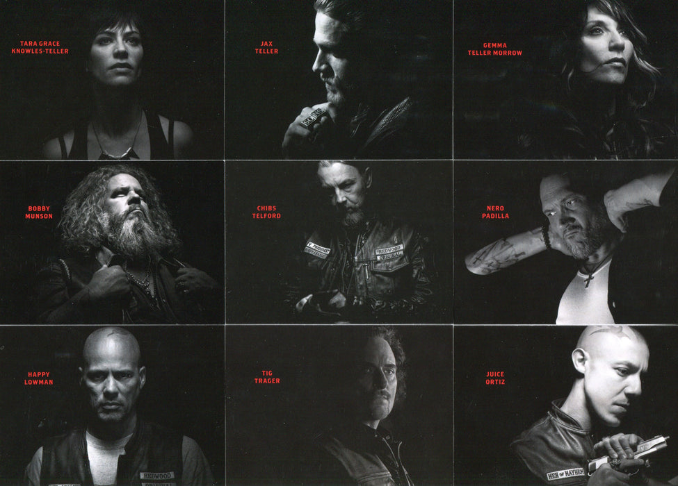 2015 Sons of Anarchy Season 6 & 7 Gallery Chase Card Set G1 - G9   - TvMovieCards.com