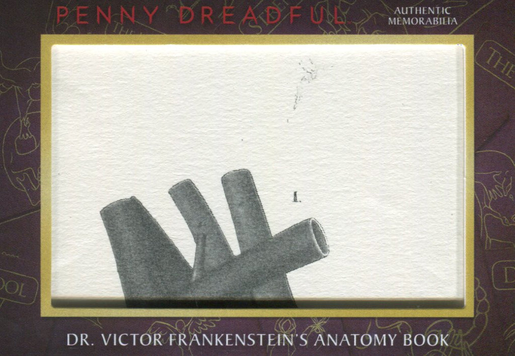 2015 Penny Dreadful Season One Anatomy Book Memorabilia Prop Card M15   - TvMovieCards.com