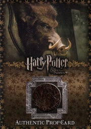 Harry Potter Order of Phoenix Hog's Head Hair Prop Card HP Ci4 #52/88   - TvMovieCards.com