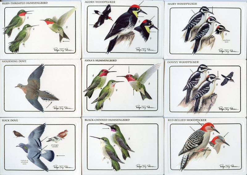 Birds - Discover Roger Tory Peterson Birds Bird Feeder Series 1 Card Set   - TvMovieCards.com