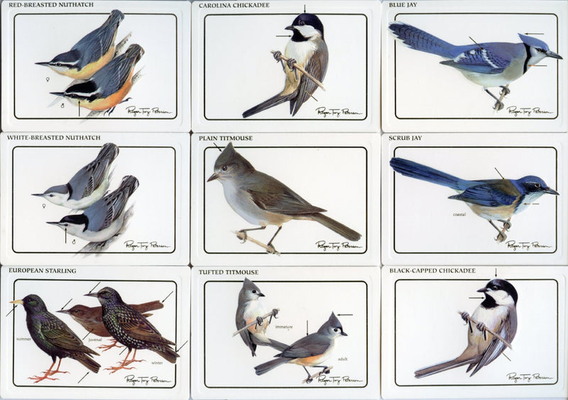 Birds - Discover Roger Tory Peterson Birds Bird Feeder Series 1 Card Set   - TvMovieCards.com