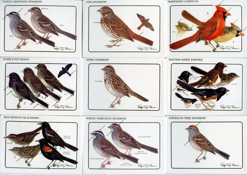 Birds - Discover Roger Tory Peterson Birds Bird Feeder Series 2 Card Set   - TvMovieCards.com