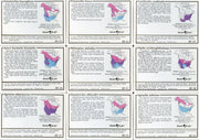 Birds - Discover Roger Tory Peterson Birds Bird Feeder Series 2 Card Set   - TvMovieCards.com