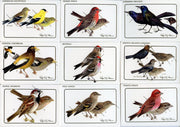 Birds - Discover Roger Tory Peterson Birds Bird Feeder Series 2 Card Set   - TvMovieCards.com