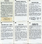 Birds - Colorful Birds of North America 42 Vintage Card Lot by Traindex 1947   - TvMovieCards.com