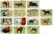 New Series of Dogs 30 Card Soda Set 1910 J14 JOHN DWIGHT Church Arm & Hammer   - TvMovieCards.com