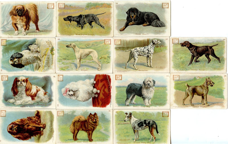 New Series of Dogs 30 Card Soda Set 1910 J14 JOHN DWIGHT Church Arm & Hammer   - TvMovieCards.com