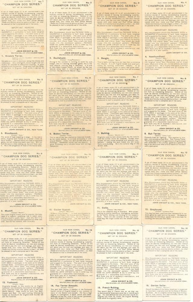 Champion Dogs 30 Card Set JOHN DWIGHT Soda Church Arm & Hammer J13 1902   - TvMovieCards.com