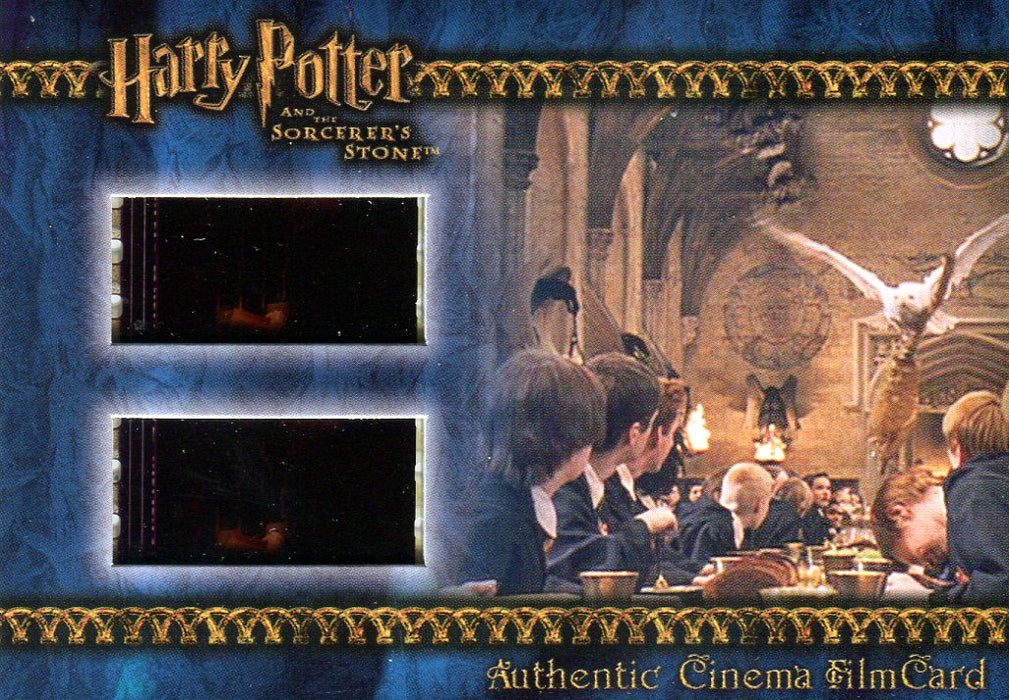 Harry Potter and the Sorcerer's Stone Cinema Film Cel Chase Card #014/397   - TvMovieCards.com