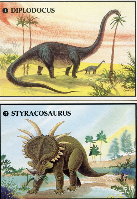 Dinosaurs Dino Cards Vintage Card Set 20 Cards Dino-Card Co. 1987   - TvMovieCards.com