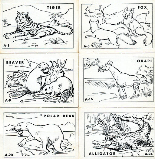 Fun With Pop Animal Stories Vintage Coloring Card Set 24 Cards 1950's   - TvMovieCards.com