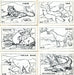 Fun With Pop Animal Stories Vintage Coloring Card Set 24 Cards 1950's   - TvMovieCards.com