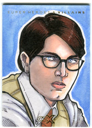 DC Comics CZX Super Heroes & Super-Villains Artist Sketch Card Mike Mastermaker   - TvMovieCards.com