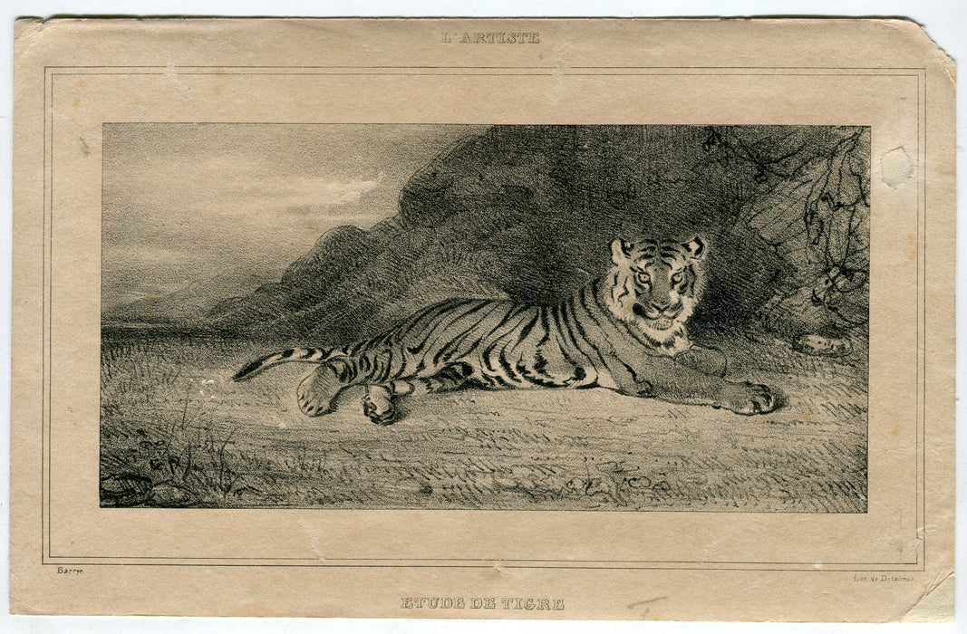 Antoine Louis Barye (1796-1875) Etude De Tigre 1832 Etching Lithograph   - TvMovieCards.com