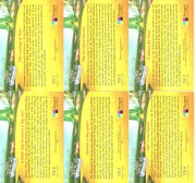 Wizard of Oz 6 Chase Card Set  Breygent Toto Foil Cards TD1-TD6   - TvMovieCards.com