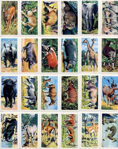 1964 Brooke Bond Canada Limited African Animals Vintage Card Set 48 Cards   - TvMovieCards.com